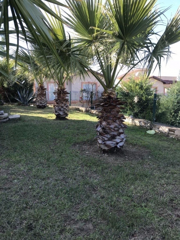 Furnished Detached Villa for Sale in Kusadasi
