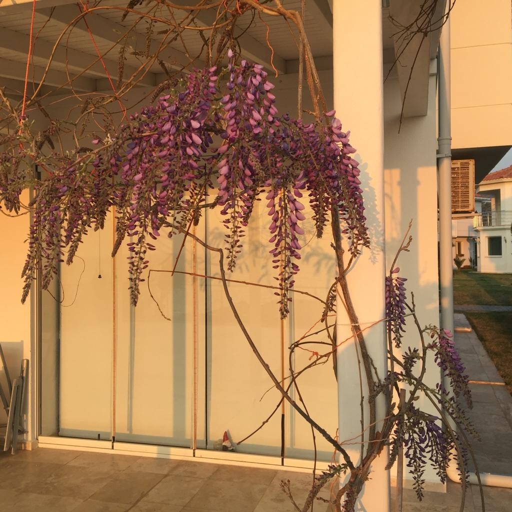 KUSADASI MARINA BEACH FRONT VILLA FULLY FURNISHED !