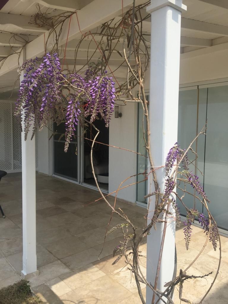 KUSADASI MARINA BEACH FRONT VILLA FULLY FURNISHED !