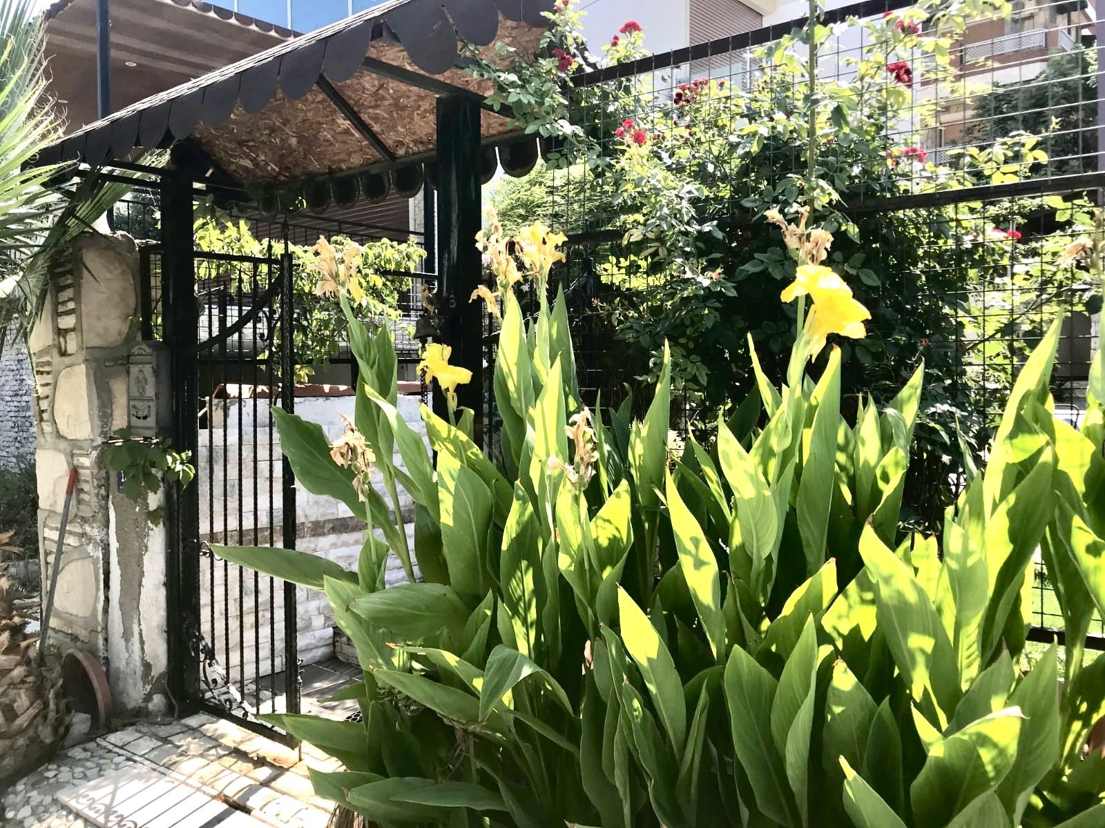Residence-Permit Eligible Detached Home in the Heart of Ladies Beach, Kuşadası!