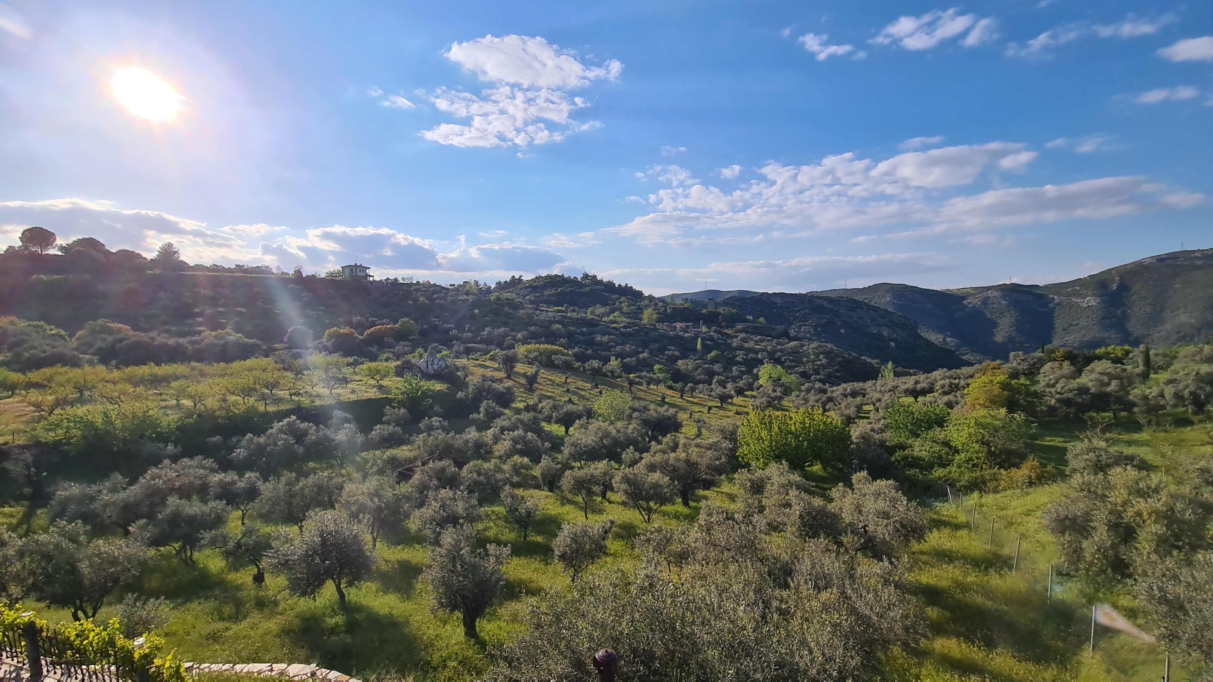 Extraordinary Stone Farm Estate in Şirince – 10,000 m² Private Land | Boutique Hotel License | Exceptional Investment Opportunity