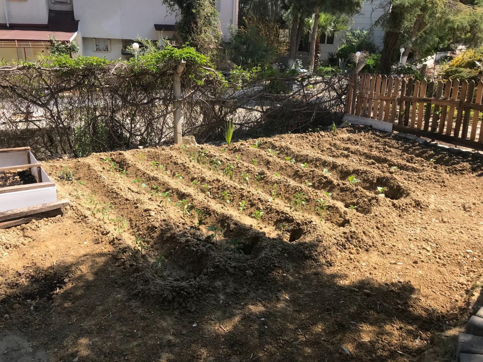 Residence-Permit Eligible Detached Home in the Heart of Ladies Beach, Kuşadası!