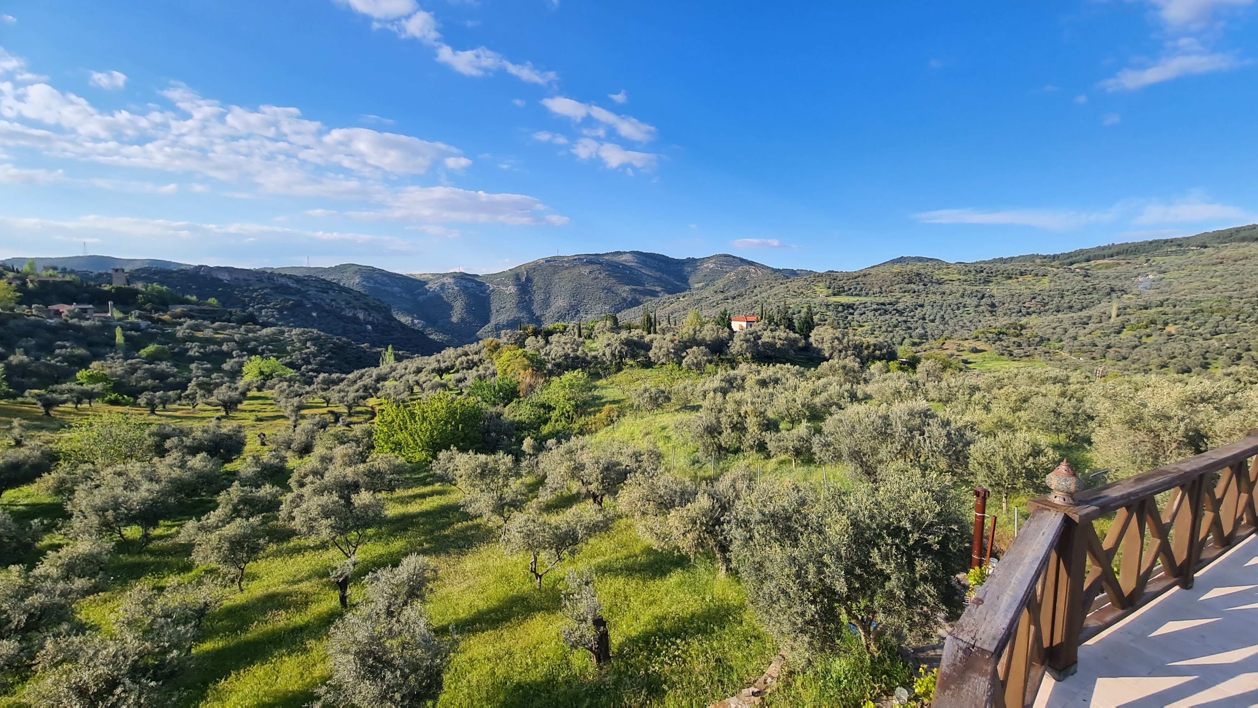 Extraordinary Stone Farm Estate in Şirince – 10,000 m² Private Land | Boutique Hotel License | Exceptional Investment Opportunity