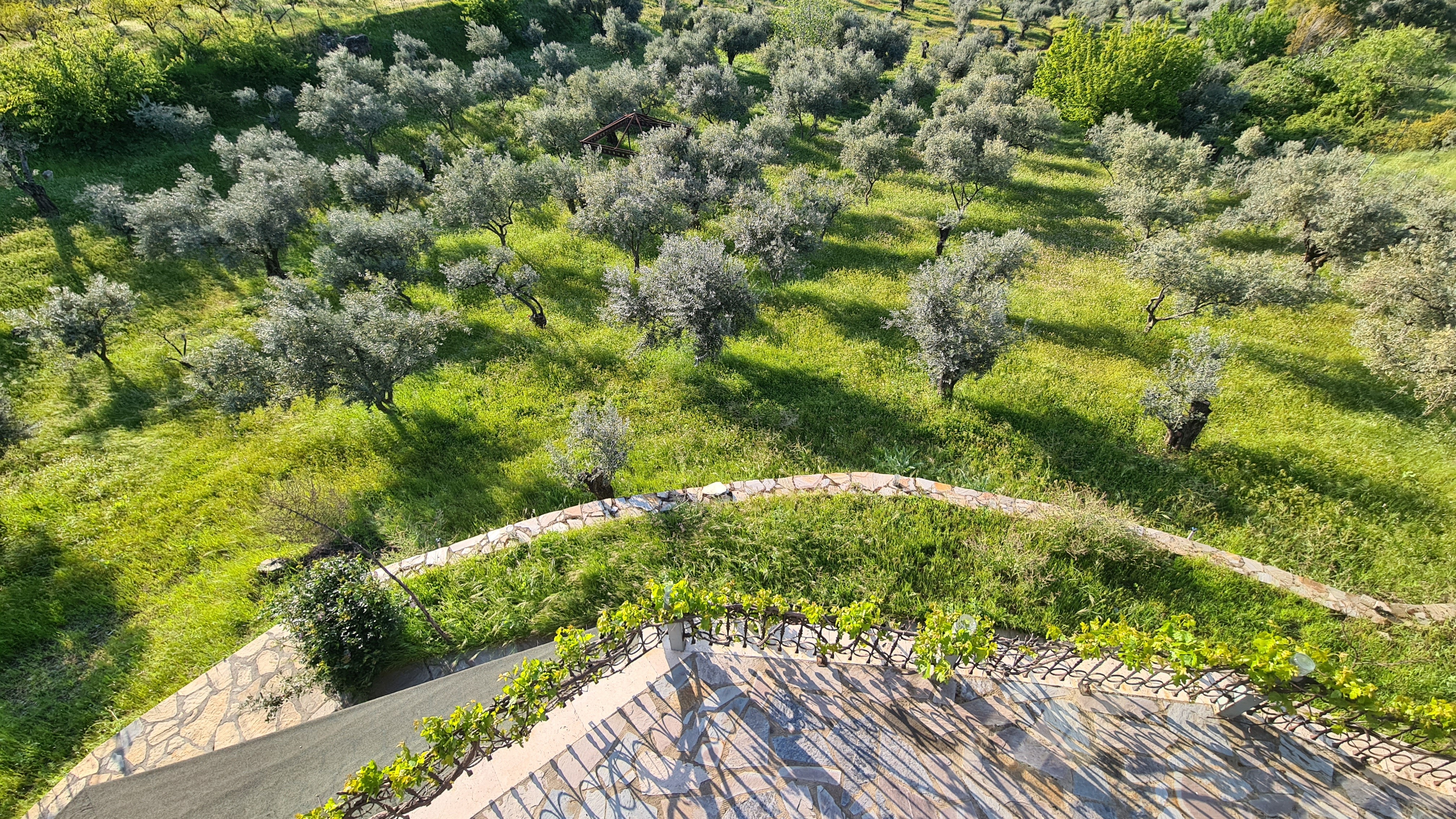 Extraordinary Stone Farm Estate in Şirince – 10,000 m² Private Land | Boutique Hotel License | Exceptional Investment Opportunity