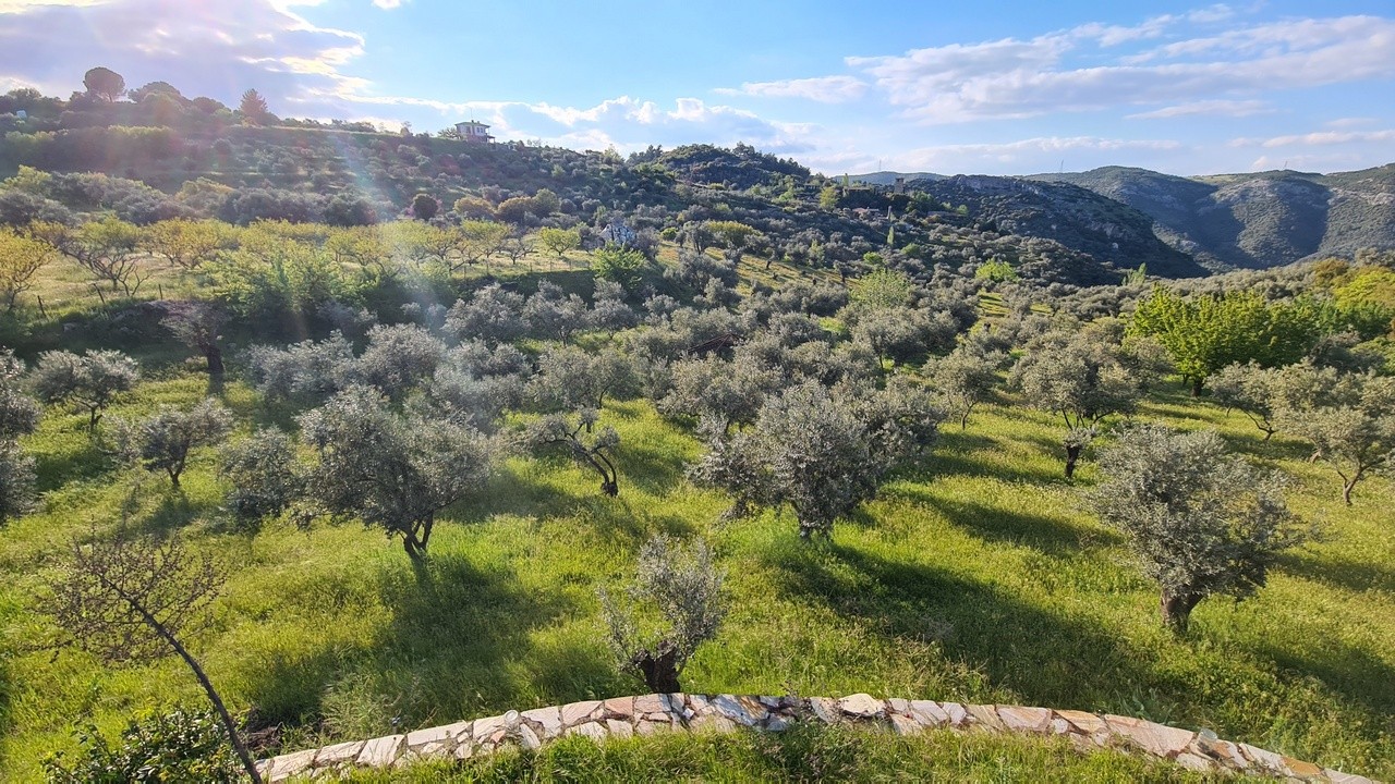 Extraordinary Stone Farm Estate in Şirince – 10,000 m² Private Land | Boutique Hotel License | Exceptional Investment Opportunity